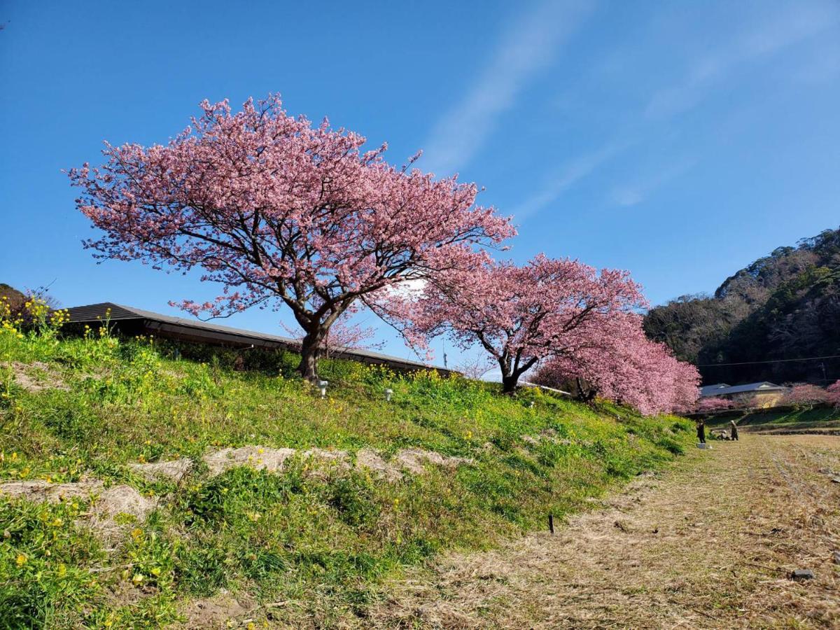 ペンション百万本のバラ "A Million Roses" Hotell Shimoda  Eksteriør bilde